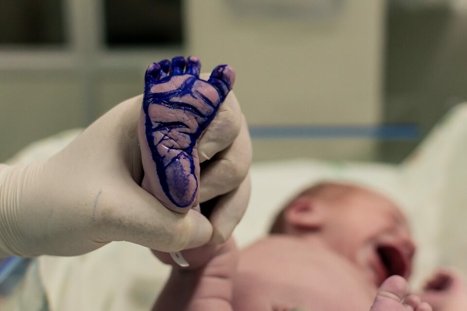 NASCIMENTO PEDRO HENRIQUE